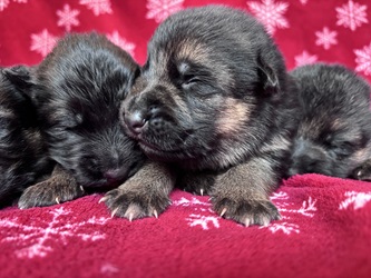 10 dn� st���